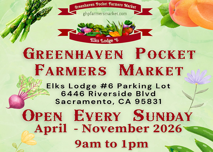 Farmers Market