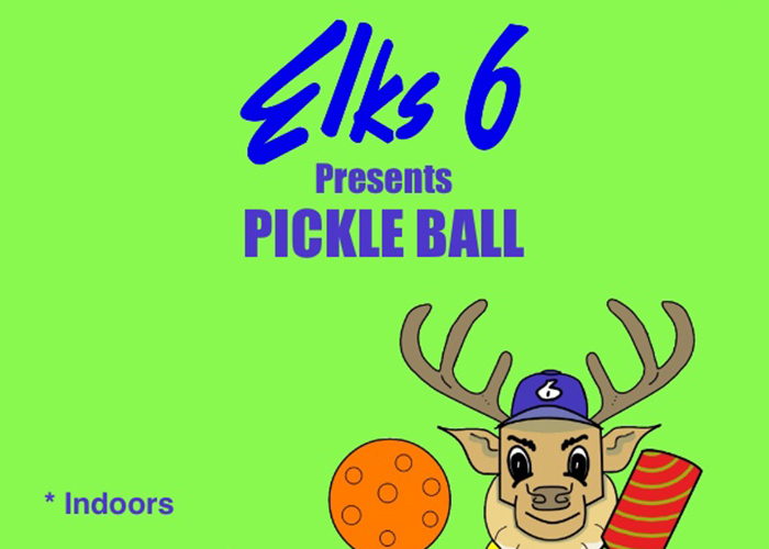 Pickleball